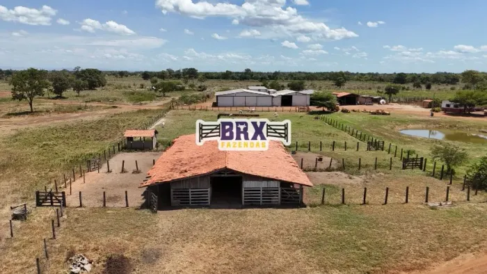 Fazenda à venda ou arrendamento agrícola em Flores de Goiás.