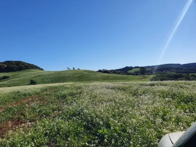 42 Alqueires com 27 de lavouras a vários anos 