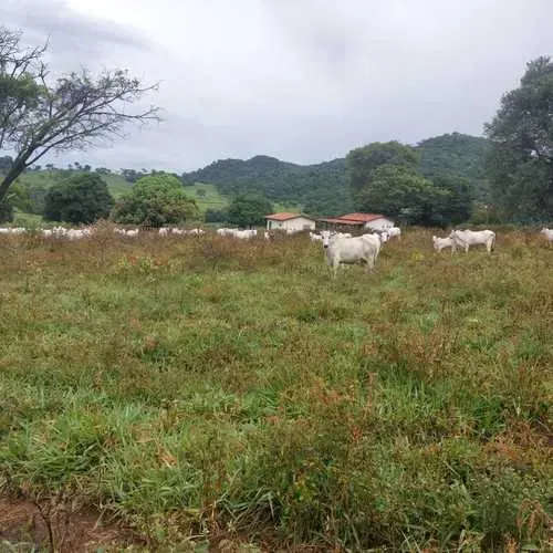 Fazenda só cultura