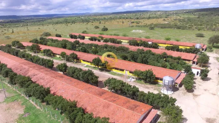 Granja de engorda em Pocinhos PB