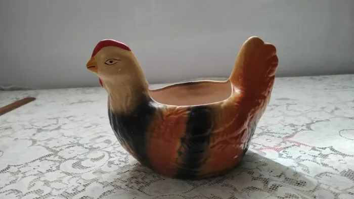 Galinha porta ovo