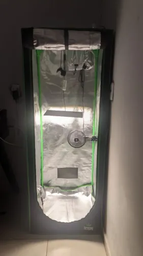DE CULTIVO INDOOR COMPLETO