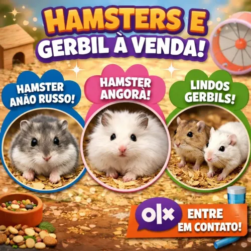 Hamsters e Gerbos 