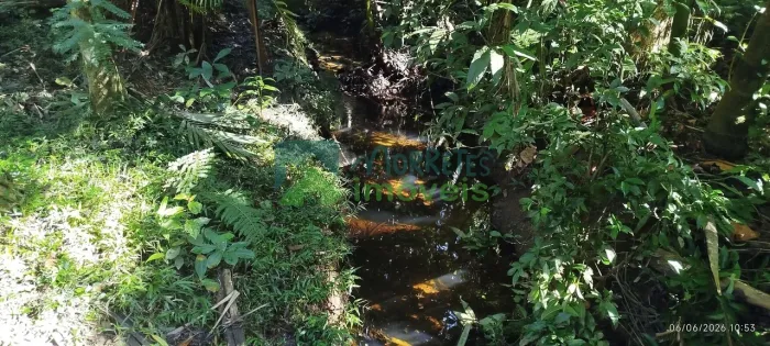ÁREAS RURAIS À VENDA EM MORRETESPR NATUREZA, ÁGUA E QUALIDADE DE VIDA