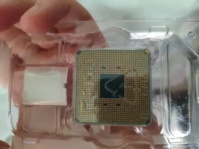 AMD RYZEN 5 5500