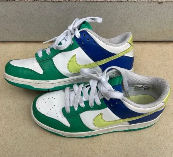 Nike Dunk Low Infantil