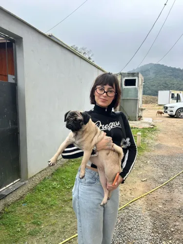 Cachorro PUG fêmea