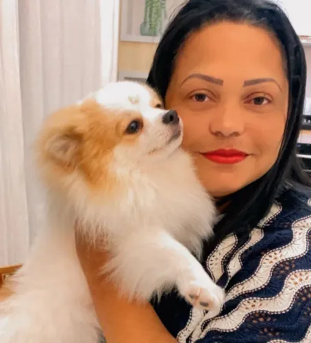 Lulu da pomerania macho ( spitz alemão anão) Sangue puro com certificado de pedigree 