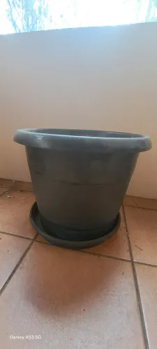 Vaso de plastico