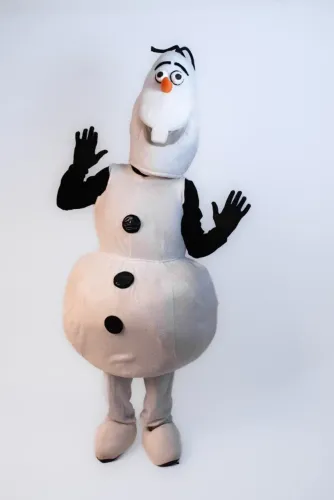 Fantasias Frozen