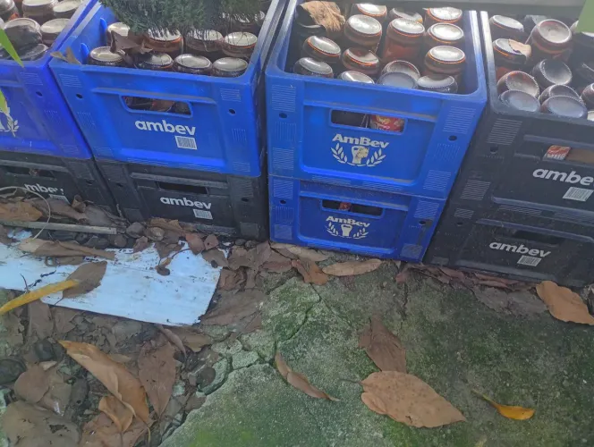 Caixa de cracudinha completas 