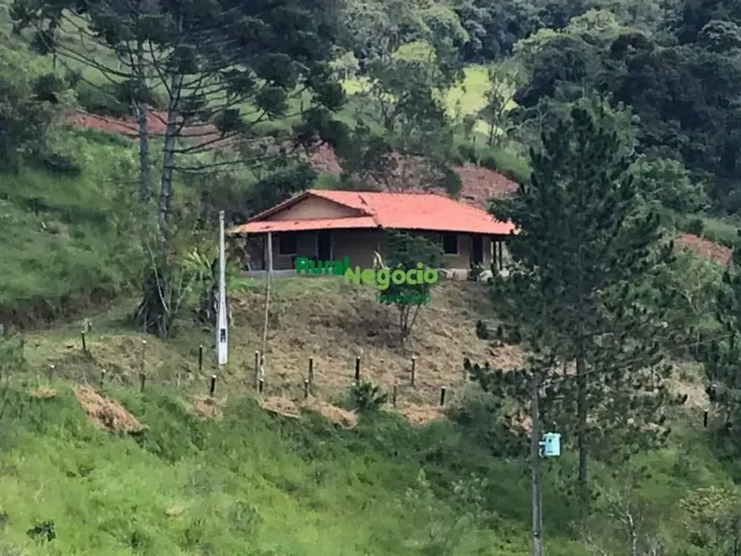 Chácara Formada com Acesso Fácil em Cunha-SP