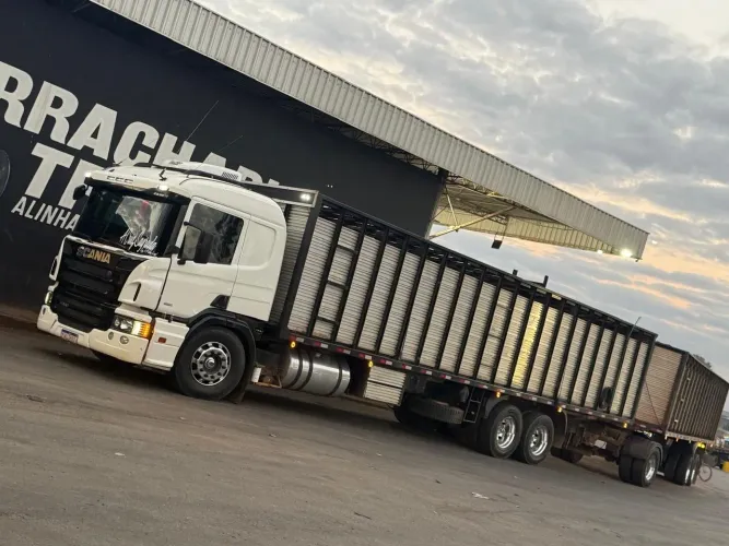 Scania P360 boiadeira mais trela conjunto completo trabalhando