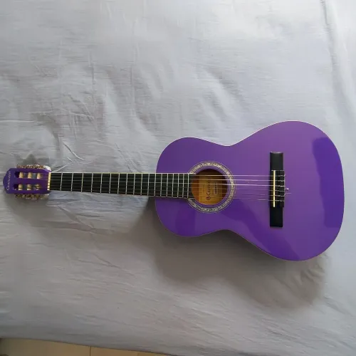 Violão Gianini GWNXR PP