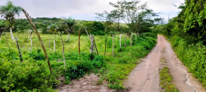 6,5 Tarefas de terra 