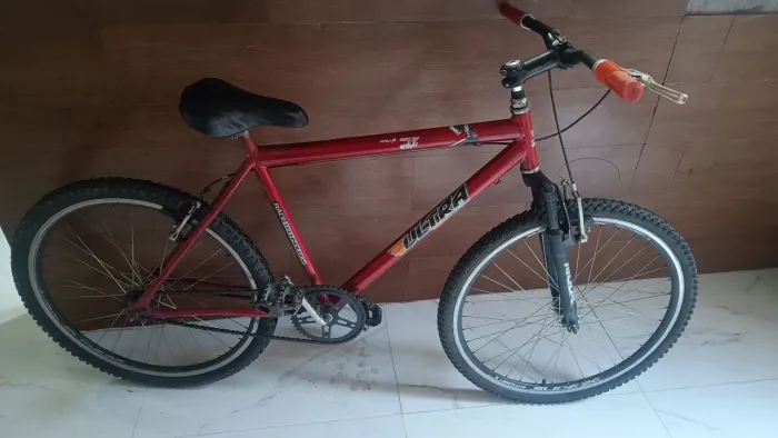 Bicicleta adulto