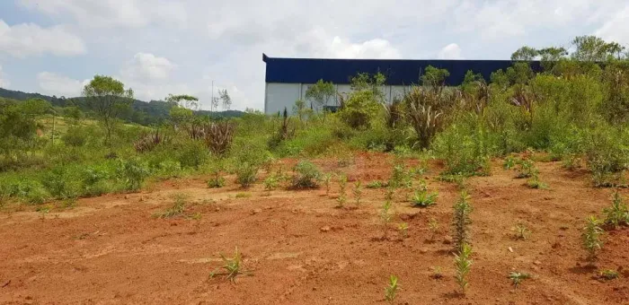 Terreno à venda, 4500 m² por R$ 2.000.000,00 - Lagoa - Vargem Grande Paulista/SP