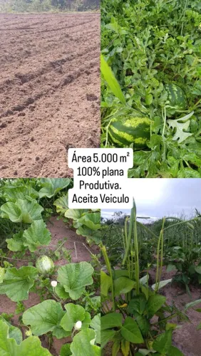 Realize seu sonho/Chácara 5.000 m² com excelente Condição de pagamento!!Aceita Veiculo