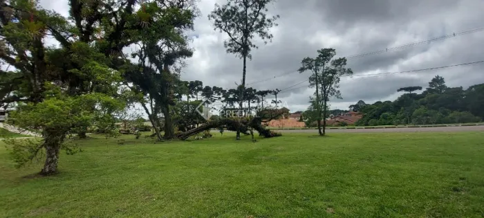 Terreno em Condomínio Altos Pinheiros - Canela