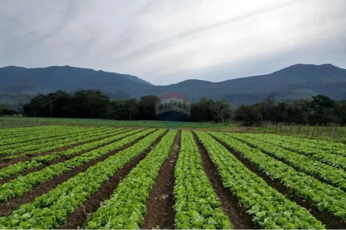 Terreno Rural a venda em Terra de Areia.
