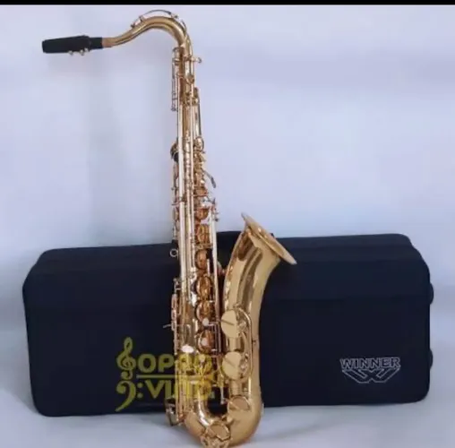 Saxofone Winner dourado com vermelho