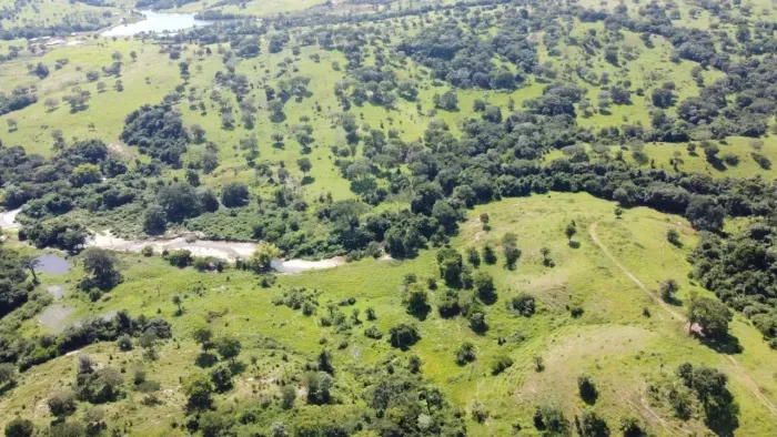 FAZENDA EM GOIÁS VELHO-GO / 75 ALQUEIRES