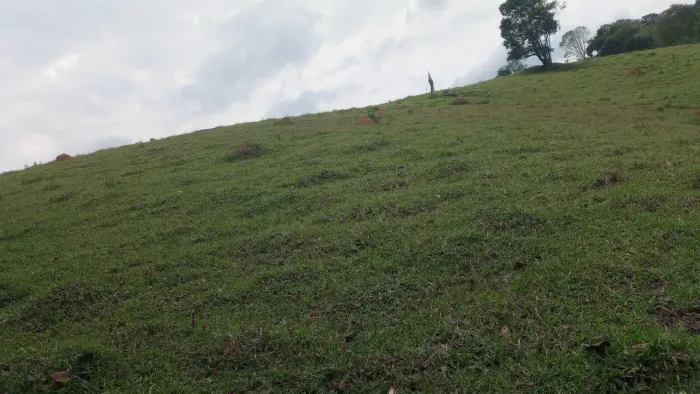 Terreno grande e barato com mina de água