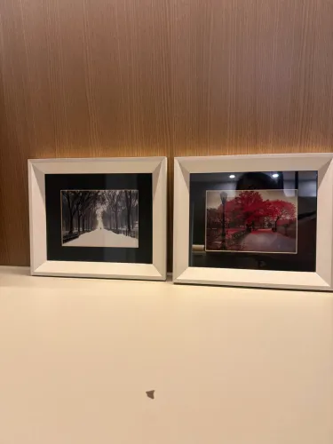 Quadros de paisagem 