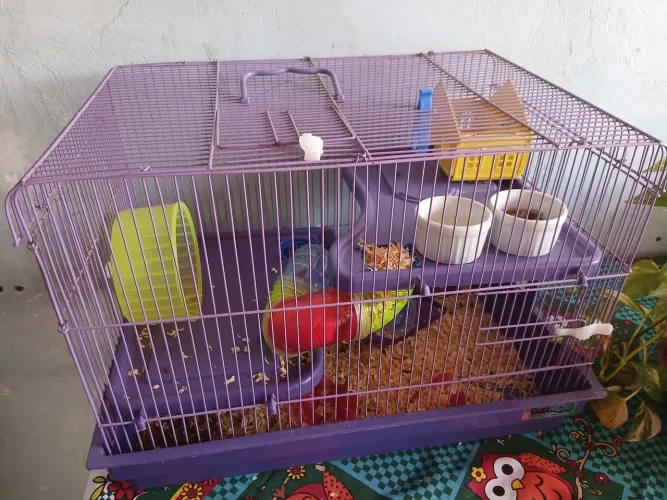 Gaiola para Hamster