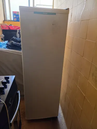 Frizer vertical consul.