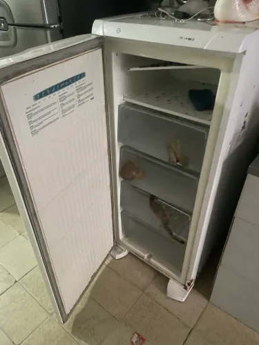 Freezer eletrolux só renovar o gás