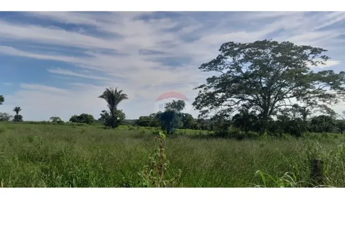 "Fazenda dos Seus Sonhos: Refúgio em Rondonópolis"