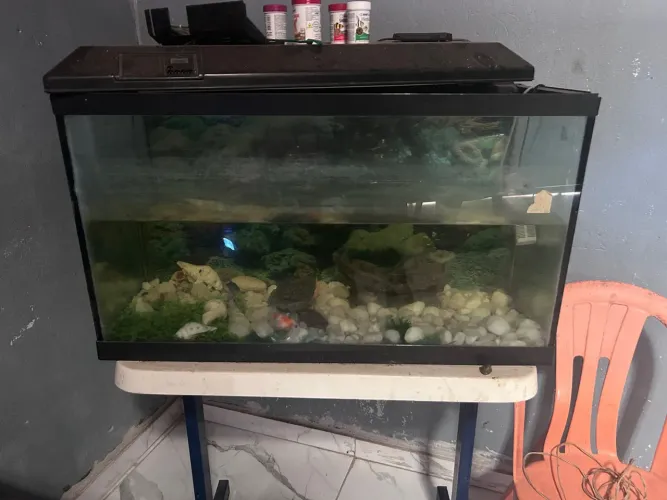 Aquário