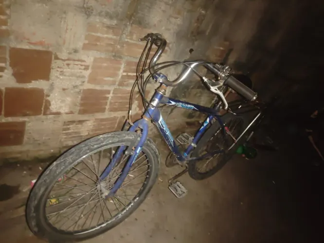 Bicicleta 