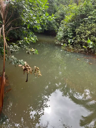 Terreno na comunidade de terra preta dos lúcios 