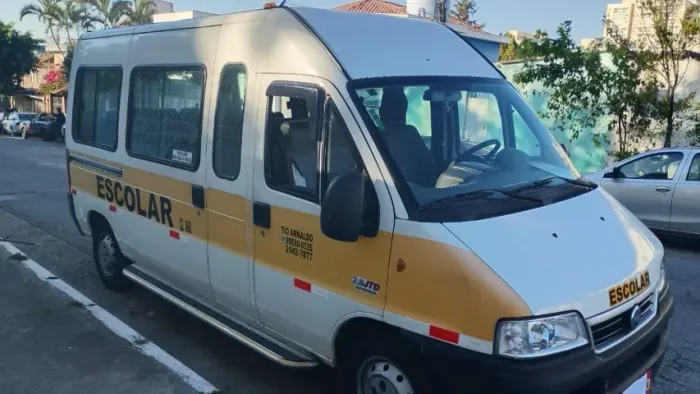 Fiat Ducato Maxicargo/furgão Maxi 2.8 TB Dies 2008