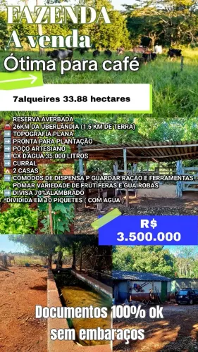 FAZENDA A VENDA EM UBERLÂNDIA -MG