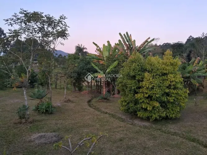 Duas casas no mesmo terreno com amplo espaço e potencial de investimento - Figueira Grande
