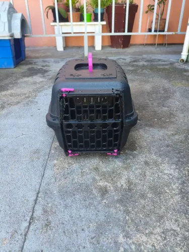 Casa pet gatos