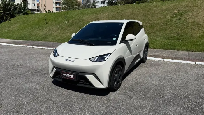BYD Dolphin Mini (Elétrico) 2024