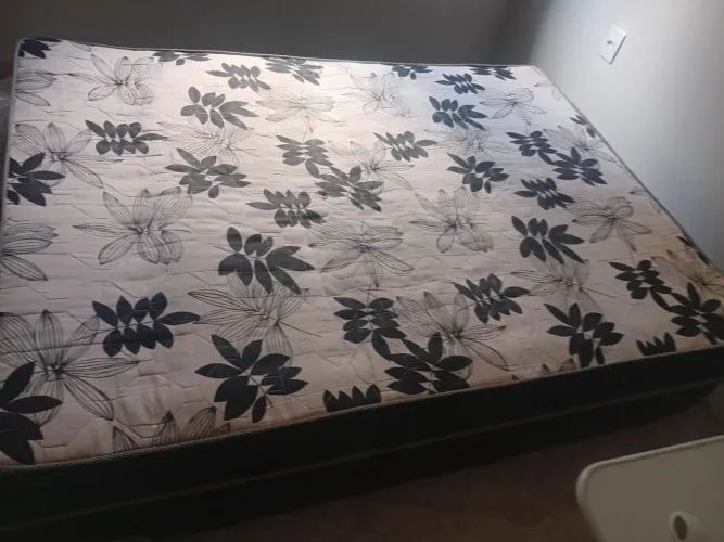 Cama