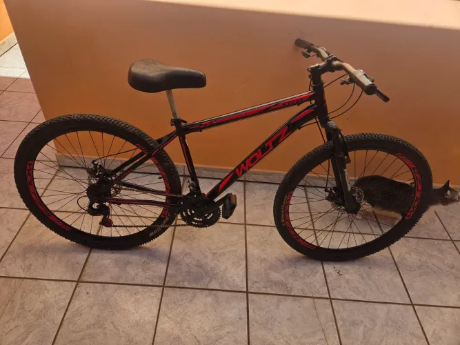 Bicicleta Woltz aro 29