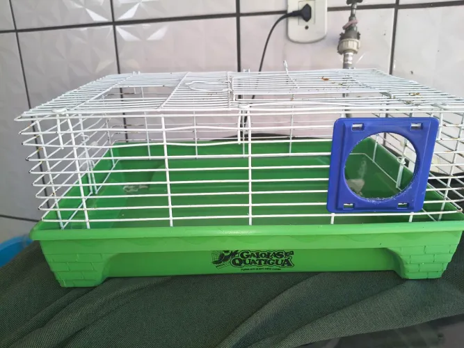 Gaiola para hamster