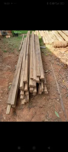 Ripão 