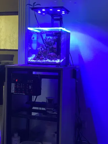 Luminária Maxpect Etheral