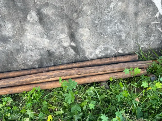 Madeiras em eucalipto pará caramanchão e coberturas usado