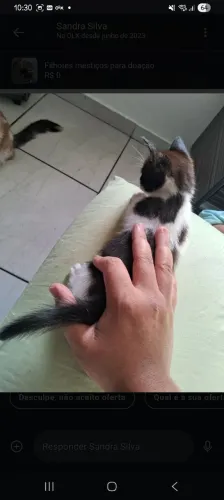 Doação Responsável
