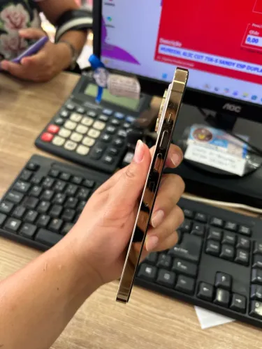 iPhone 13 Pro Max 256GB
