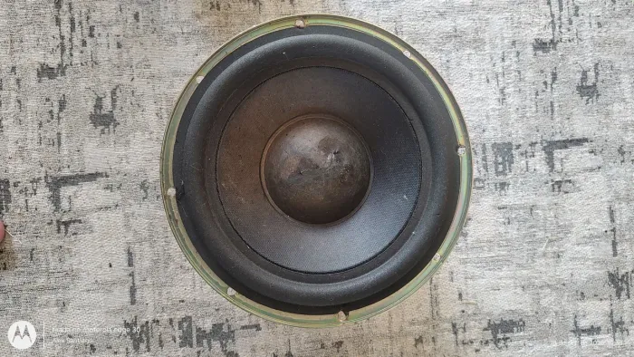 Sub Aiwa de 8" N6