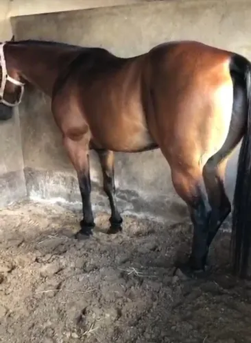 Égua top de canhota!!